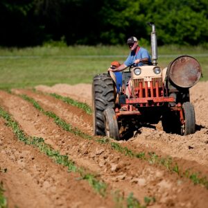 Agroindustrial e Rural